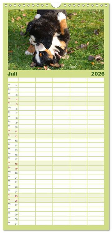 Produktbild: Familienplaner 2026 - Rasselbande mit 40 Pfoten mit 5 Spalten (Wandkalender, 21 x 45 cm) CALVENDO