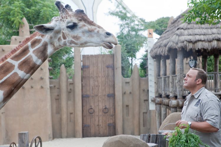Produktbild: Der Zoow&auml;rter