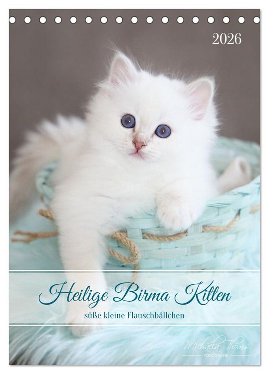 Produktbild: Heilige Birma Kitten - s&uuml;&szlig;e kleine Flauschb&auml;llchen (Tischkalender 2026 DIN A5 hoch), CALVENDO Monatskalender