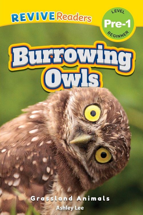 Produktbild: Burrowing Owls