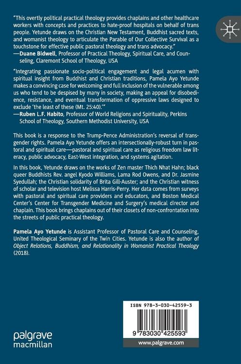 Produktbild: Buddhist-Christian Dialogue, U.S. Law, and Womanist Theology for Transgender Spiritual Care