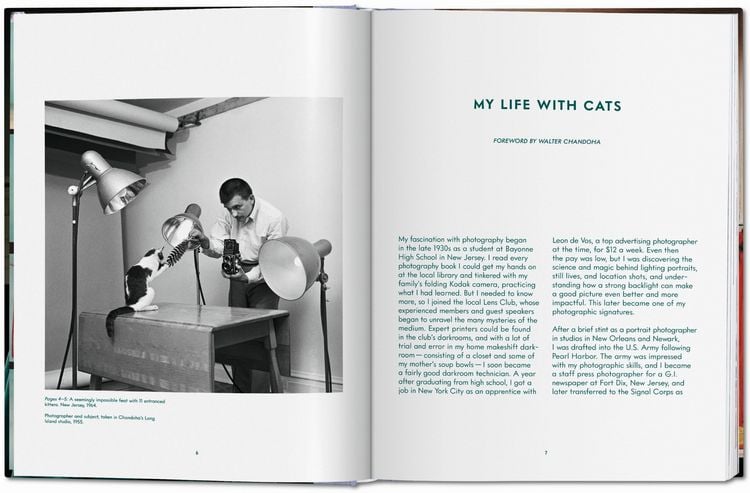 Produktbild: Walter Chandoha. Cats. Photographs 1942&ndash;2018