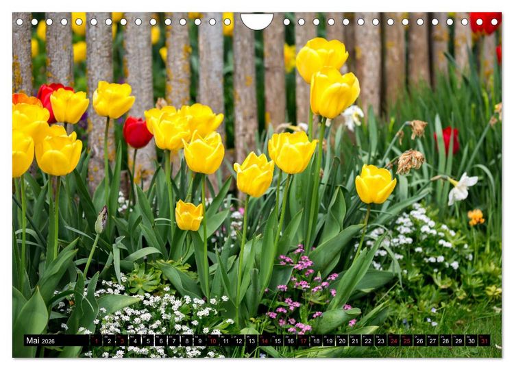 Produktbild: Kleine Blumen ganz gro&szlig; (Wandkalender 2026 DIN A4 quer), CALVENDO Monatskalender
