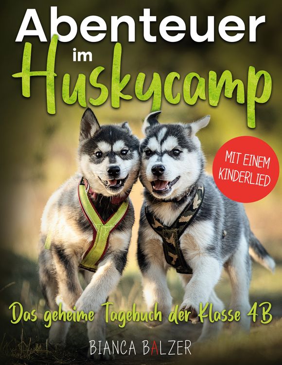 Produktbild: Das geheime Tagebuch der Klasse 4 B - Buch 2