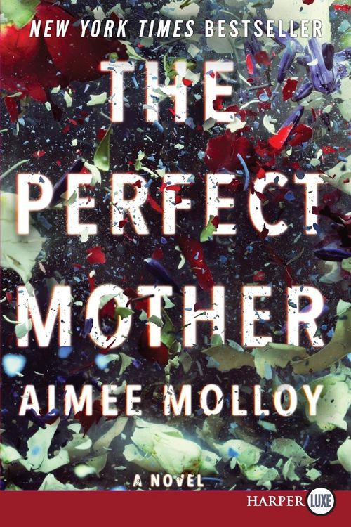 Produktbild: The Perfect Mother