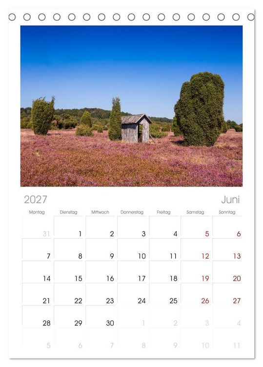 Produktbild: Tischplaner 2027 - L&uuml;neburger Heide - Im Wandel der Jahreszeiten (A5 Tischkalender zum Aufstellen) CALVENDO