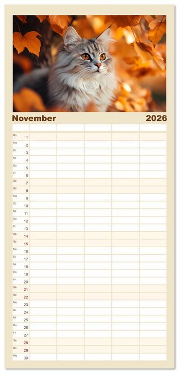 Produktbild: Familienplaner 2026 - Katzen - sanfte Sch&ouml;nheiten mit 5 Spalten (Wandkalender, 21 x 45 cm) CALVENDO