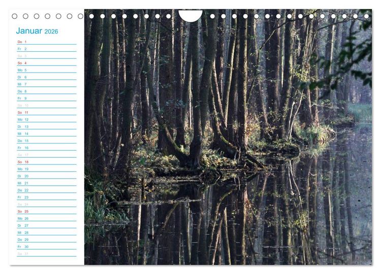 Produktbild: Wundersch&ouml;ner Spreewald (Wandkalender 2026 DIN A4 quer), CALVENDO Monatskalender