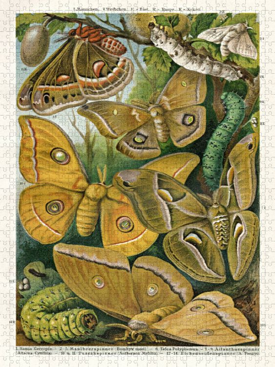 Produktbild: CALVENDO Puzzle Seidenspinner, K&uuml;nstler: E. Morin (1824-1882) | 1000 Teile Lege-Gr&ouml;&szlig;e 64x48cm Foto-Puzzle f&uuml;r gl&uuml;ckliche Stunden