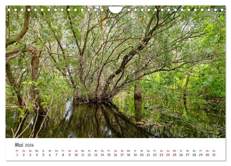 Produktbild: Donau-Delta (Wandkalender 2026 DIN A4 quer), CALVENDO Monatskalender