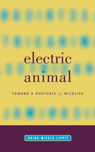 Produktbild: Lippit, A: Electric Animal