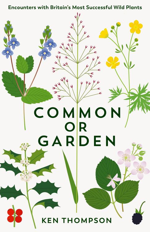 Produktbild: Common or Garden