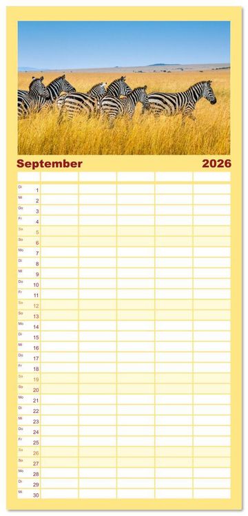 Produktbild: Familienplaner 2026 - Zebras - Die gestreiften Vierbeiner. mit 5 Spalten (Wandkalender, 21 x 45 cm) CALVENDO
