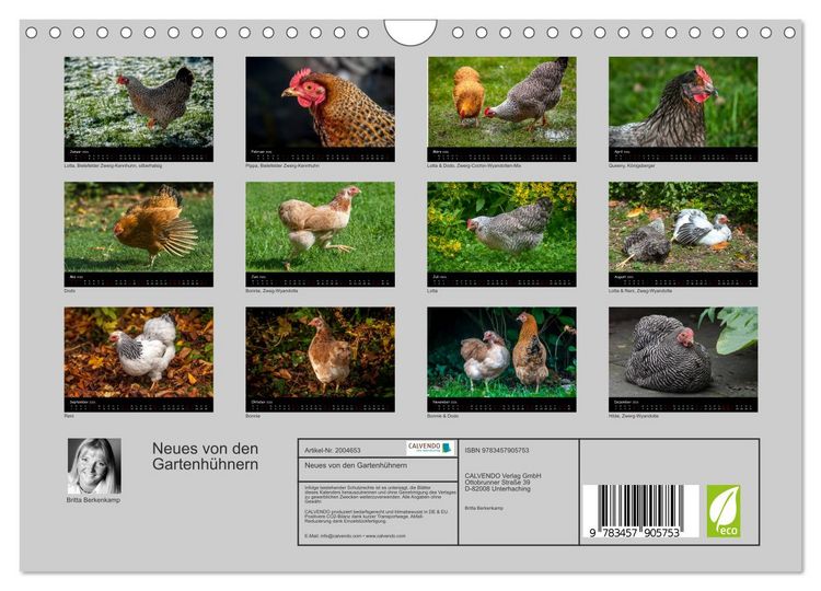 Produktbild: Neues von den Gartenh&uuml;hnern (Wandkalender 2026 DIN A4 quer), CALVENDO Monatskalender