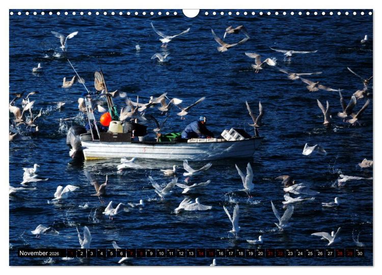 Produktbild: GR&Ouml;NLAND Eisfjord und Diskobucht (Wandkalender 2026 DIN A3 quer), CALVENDO Monatskalender