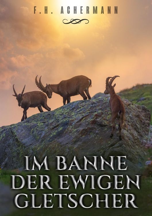 Produktbild: Im Banne der ewigen Gletscher