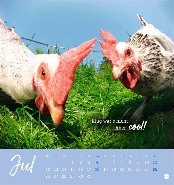 Produktbild: H&uuml;hner Postkartenkalender 2027 - Ach, du verr&uuml;cktes Huhn!