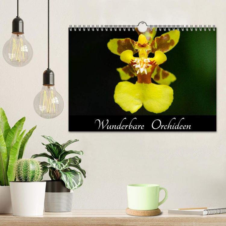 Produktbild: Wunderbare Orchideen (Wandkalender 2027 DIN A4 quer), CALVENDO Monatskalender