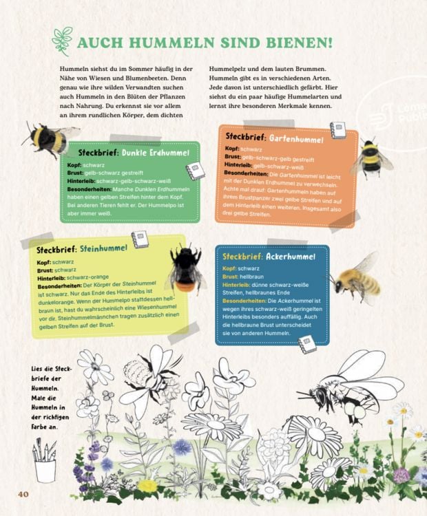 Produktbild: Bienen