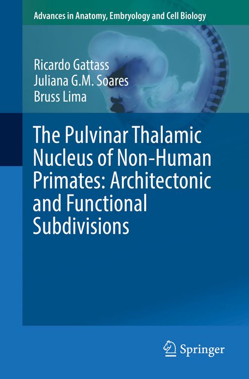 Produktbild: The Pulvinar Thalamic Nucleus of Non-Human Primates: Architectonic and Functional Subdivisions