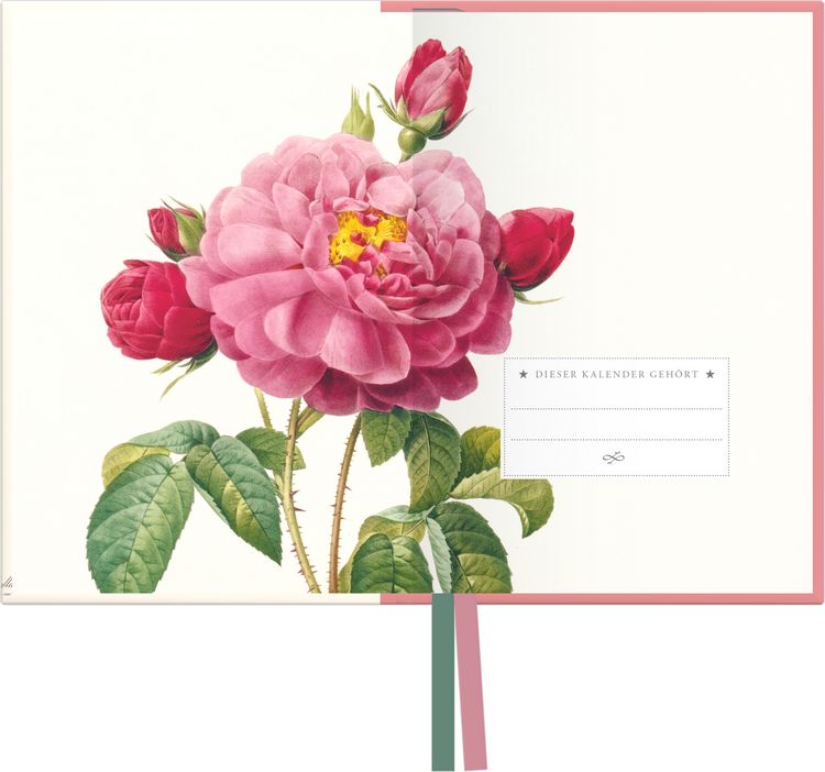 Produktbild: Redoutes Rosen 2027