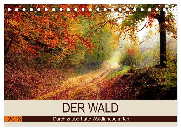 Produktbild: Der Wald. Durch zauberhafte Waldlandschaften (Tischkalender 2026 DIN A5 quer), CALVENDO Monatskalender