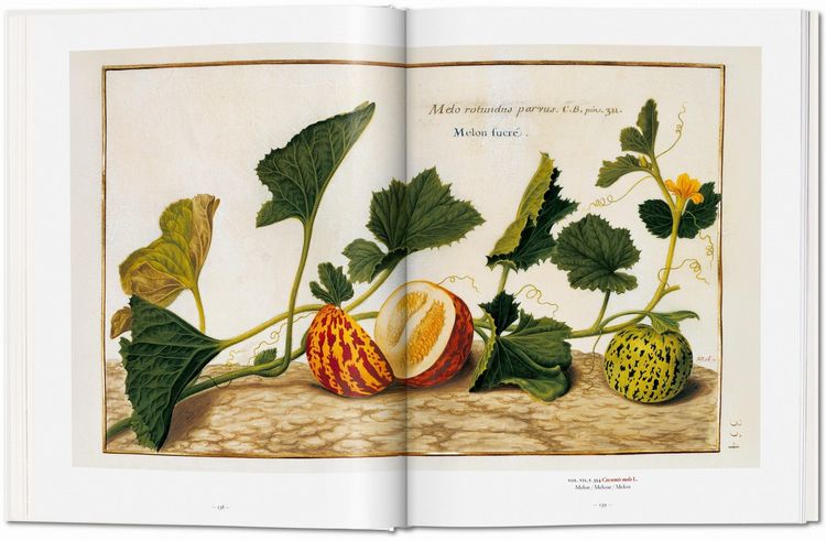 Produktbild: A Garden Eden. Masterpieces of Botanical Illustration