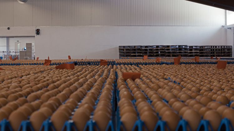 Produktbild: Bauer Unser