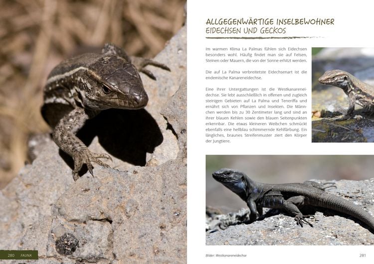 Produktbild: GEQUO La Palma Erlebnis-Reisef&uuml;hrer