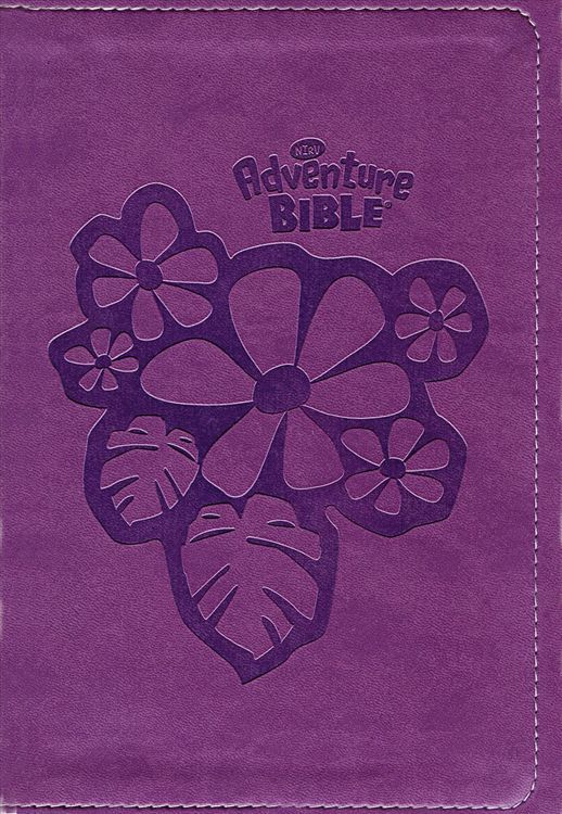 Produktbild: Adventure Bible for Early Readers-NIRV