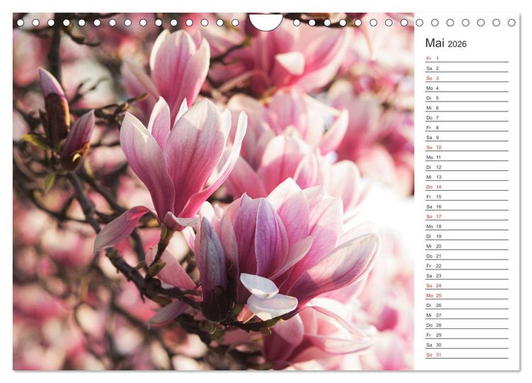 Produktbild: Blumenfreude Terminkalender (Wandkalender 2026 DIN A4 quer), CALVENDO Monatskalender