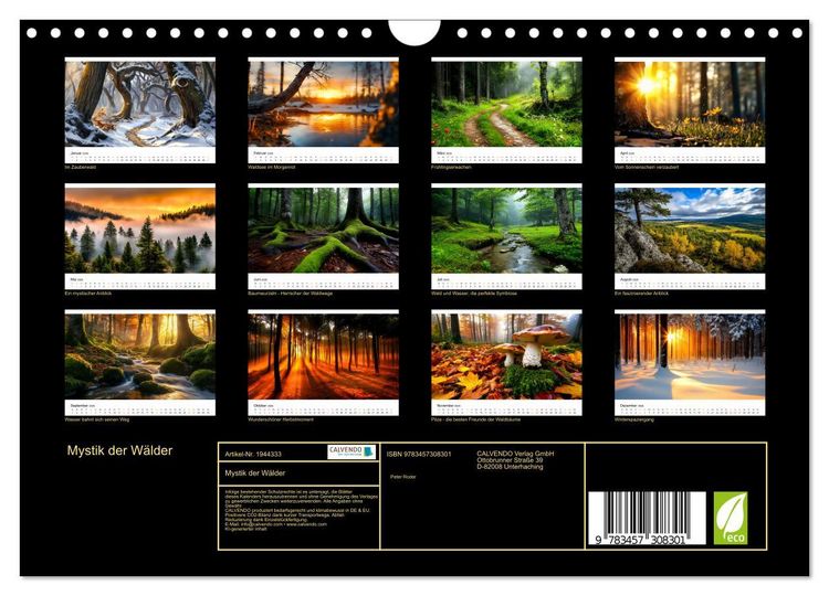 Produktbild: Mystik der W&auml;lder (Wandkalender 2026 DIN A4 quer), CALVENDO Monatskalender