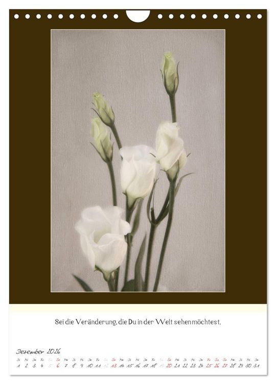 Produktbild: Der Buddhistische Weisheiten Kalender (Wandkalender 2026 DIN A4 hoch), CALVENDO Monatskalender