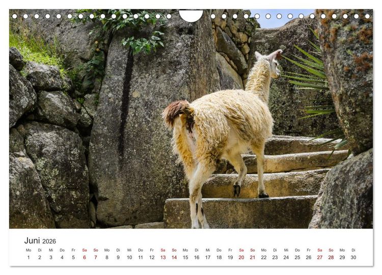Produktbild: Macchu Picchu (Wandkalender 2026 DIN A4 quer), CALVENDO Monatskalender