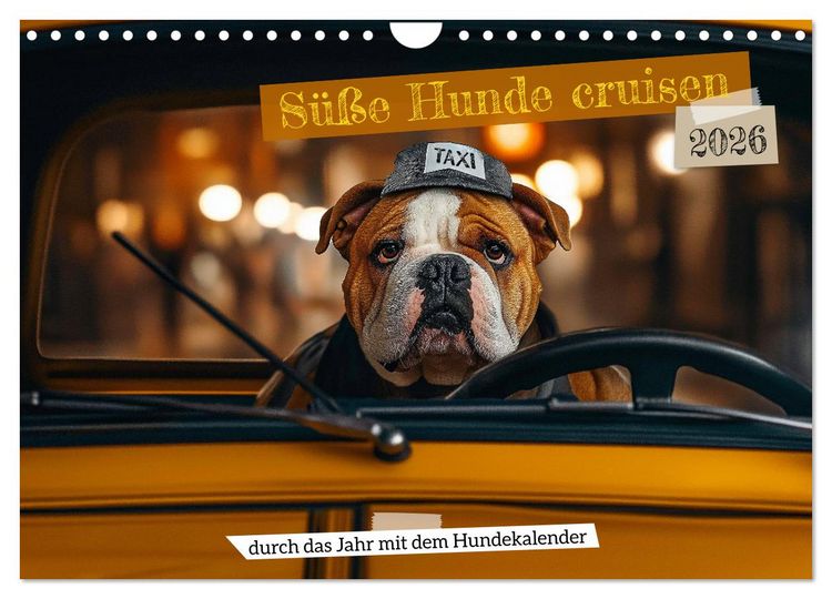 Produktbild: S&uuml;&szlig;e Hunde cruisen - durch das Jahr mit dem Hundekalender (Wandkalender 2026 DIN A4 quer), CALVENDO Monatskalender