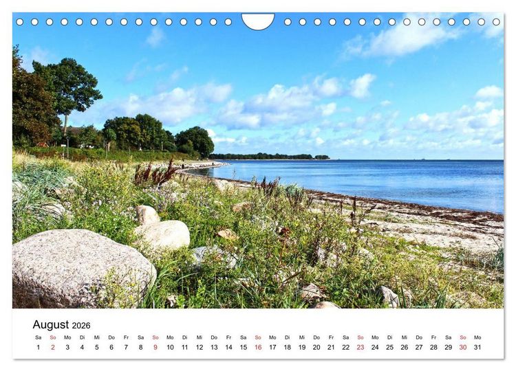 Produktbild: Strande und B&uuml;lk 2026 (Wandkalender 2026 DIN A4 quer), CALVENDO Monatskalender