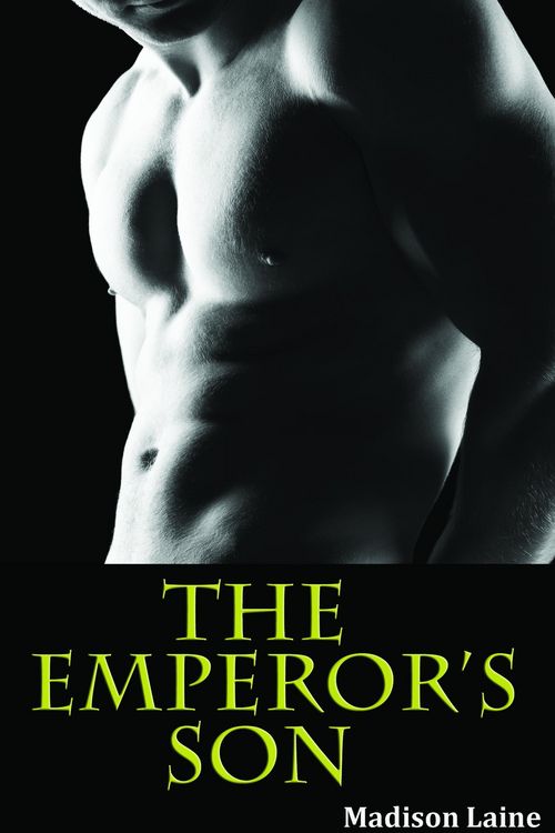 Produktbild: The Emperor's Son (First Time Gay Erotica)