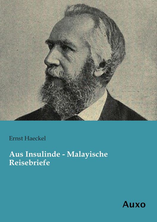 Produktbild: Aus Insulinde - Malayische Reisebriefe