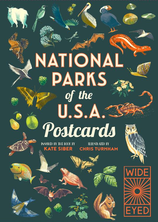 Produktbild: National Parks of the USA Postcards