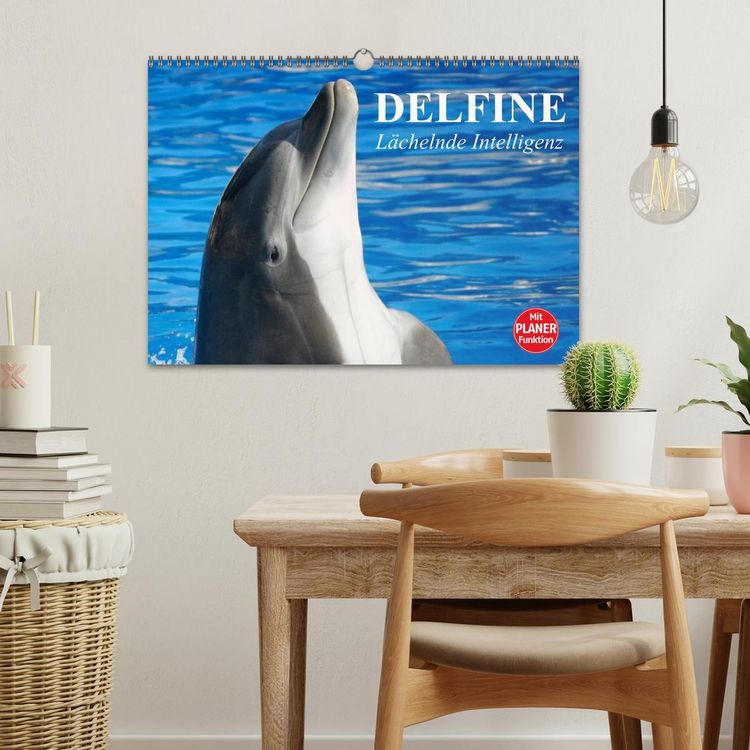 Produktbild: Delfine - L&auml;chelnde Intelligenz (Wandkalender 2026 DIN A3 quer), CALVENDO Monatskalender