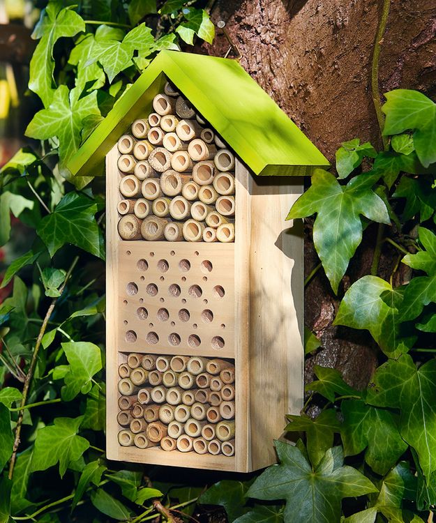 Produktbild: Expedition Natur Bienenhotel