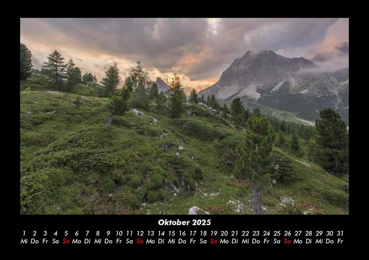 Produktbild: Natur Pur 2025 Fotokalender DIN A3