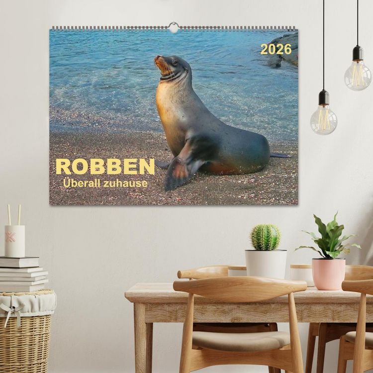 Produktbild: Robben - &uuml;berall zuhause (Wandkalender 2026 DIN A2 quer), CALVENDO Monatskalender