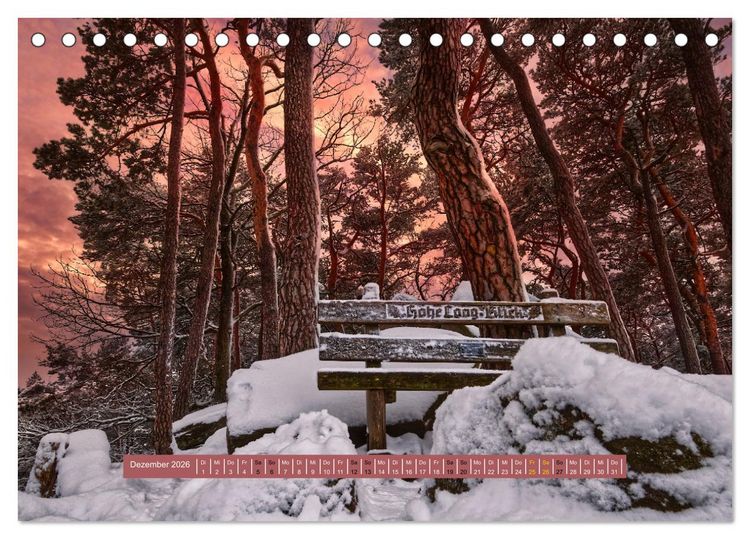 Produktbild: Magischer Pf&auml;lzer Wald (Tischkalender 2026 DIN A5 quer), CALVENDO Monatskalender