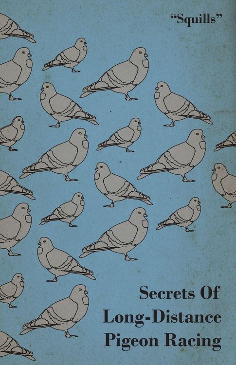 Produktbild: Secrets of Long-Distance Pigeon Racing