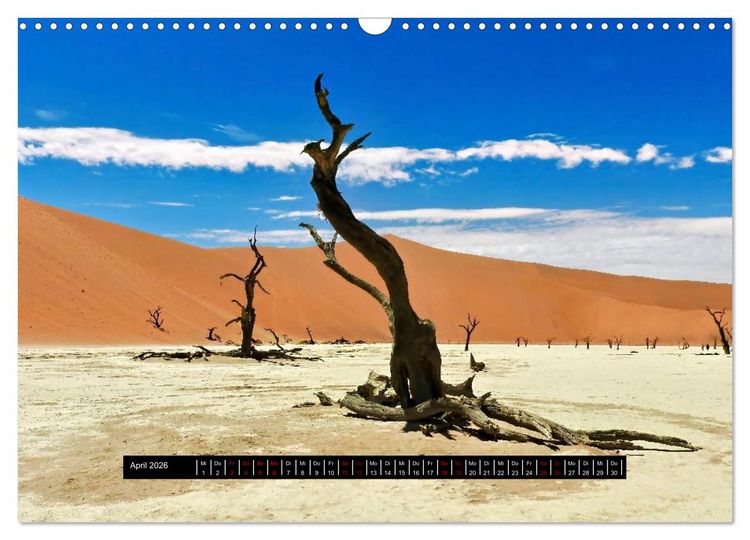 Produktbild: Afrika - Vielfalt in Flora und Fauna (Wandkalender 2026 DIN A3 quer), CALVENDO Monatskalender