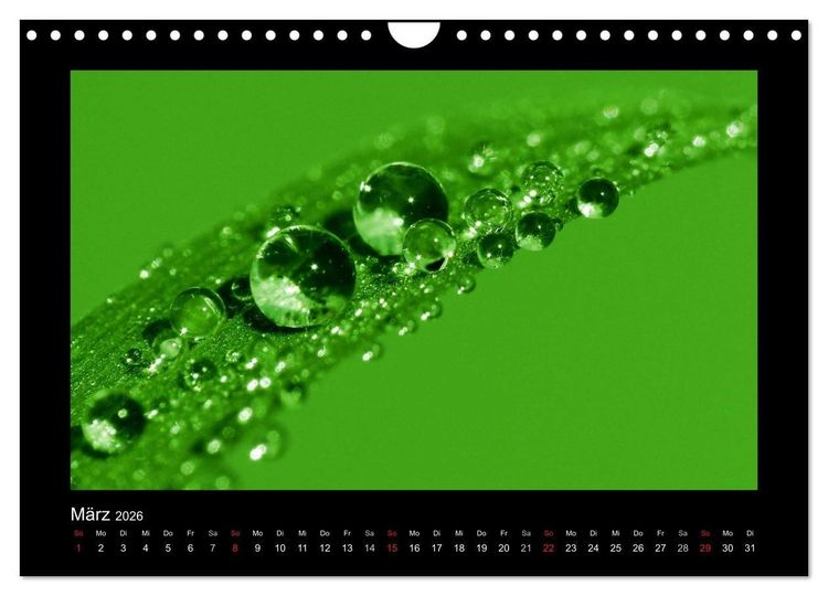 Produktbild: Meine kleine gr&uuml;ne Wassertropfen Welt (Wandkalender 2026 DIN A4 quer), CALVENDO Monatskalender