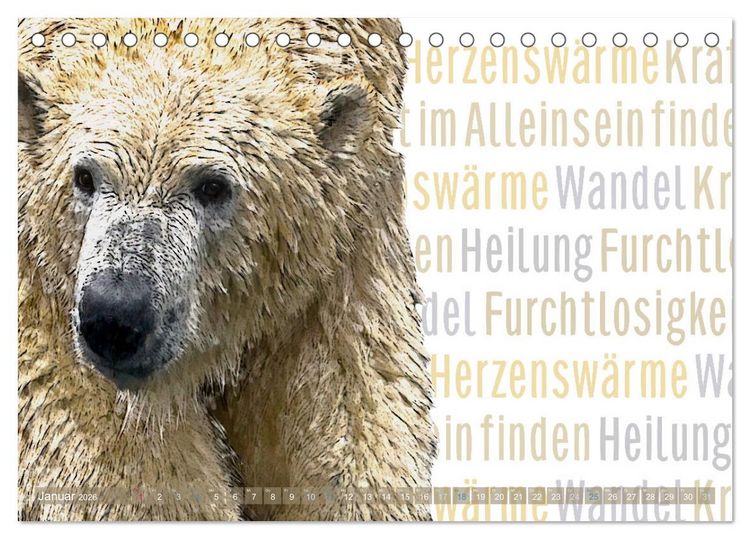 Produktbild: Mein wildes Krafttier und seine spirituellen Werte. (Tischkalender 2026 DIN A5 quer), CALVENDO Monatskalender