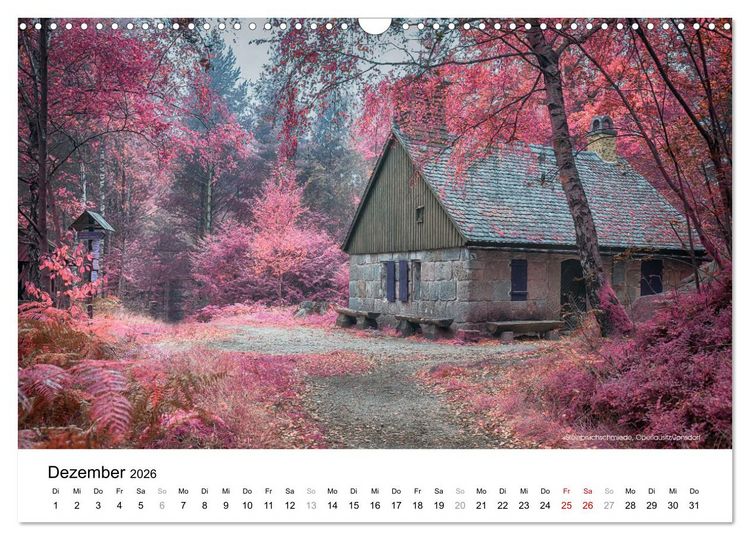 Produktbild: Die Lausitz durch den Infrarotfilter (Wandkalender 2026 DIN A3 quer), CALVENDO Monatskalender