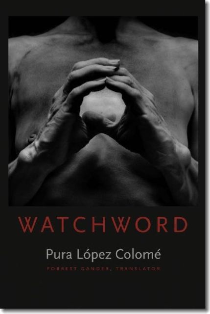 Produktbild: Watchword